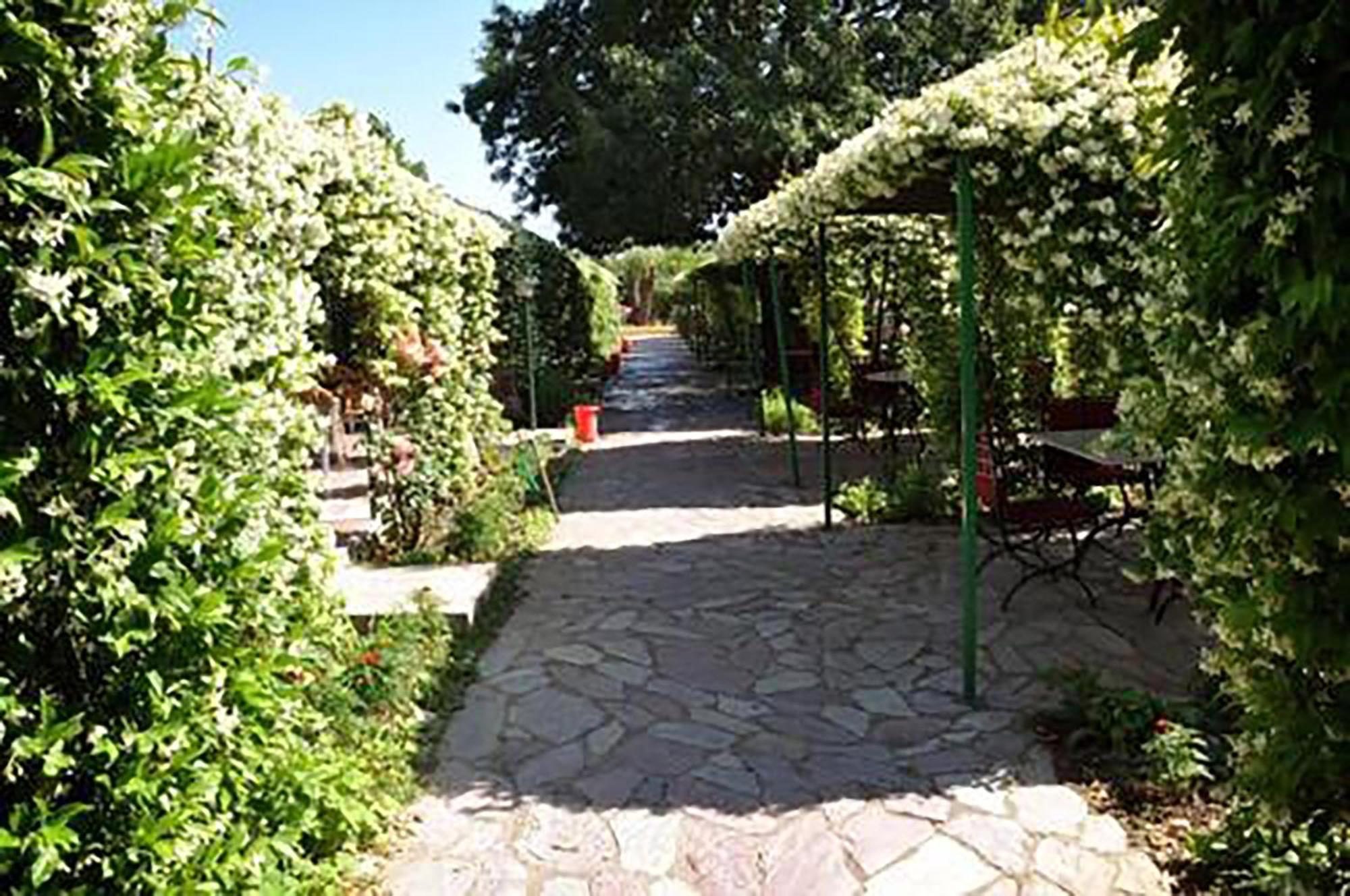 Hotel Buna Park